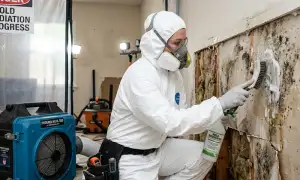 Mold remediation service in Newport News, VA for water damage restoration homeowners
